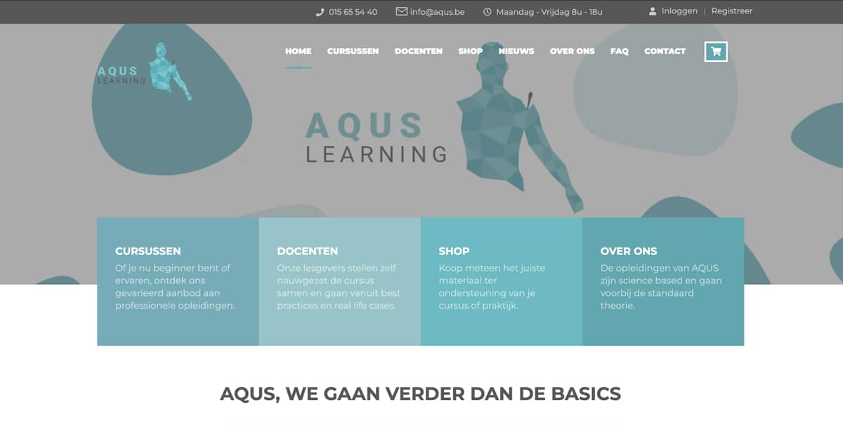 Fast Solutions - Aquas webdesign, waarin elementen van webshopfunctionaliteit en deskundige copywriting zijn verwerkt.